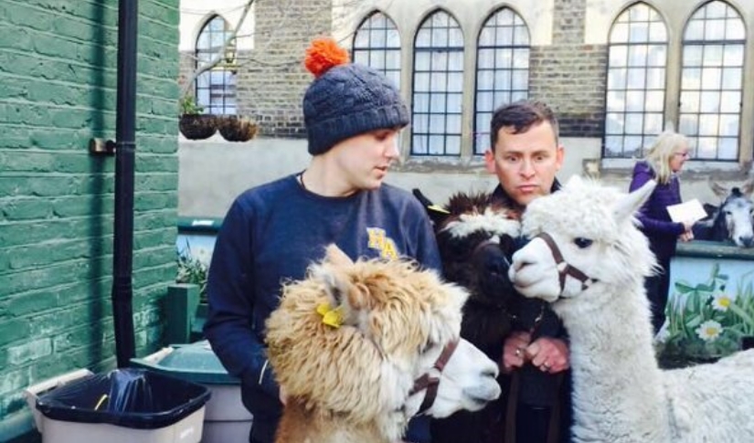 Scott and Chris appear on Countryfile